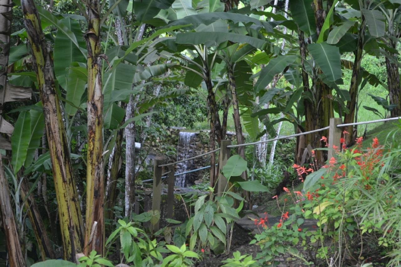 Sitio Alto Da Montanha - Voce Em Paz Com A Natureza Pacoti Exterior photo