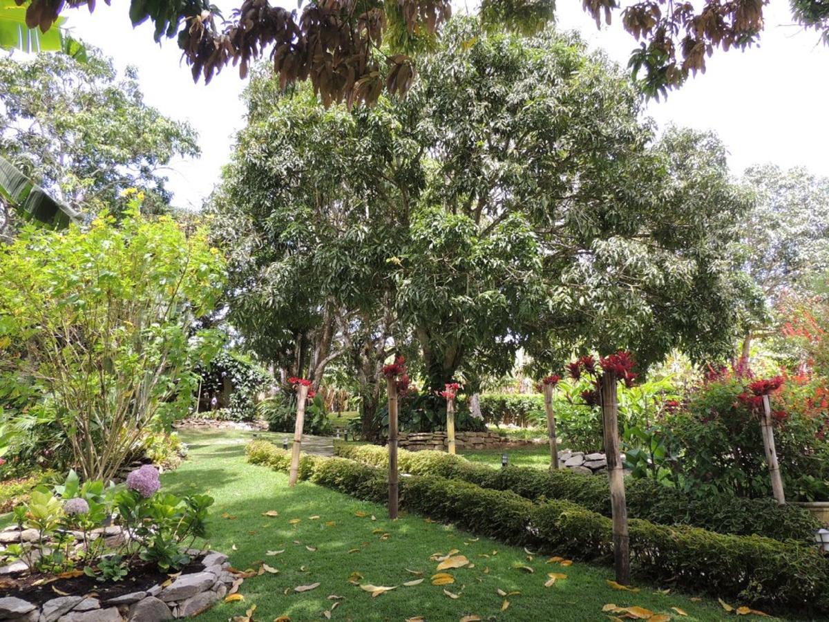 Sitio Alto Da Montanha - Voce Em Paz Com A Natureza Pacoti Exterior photo