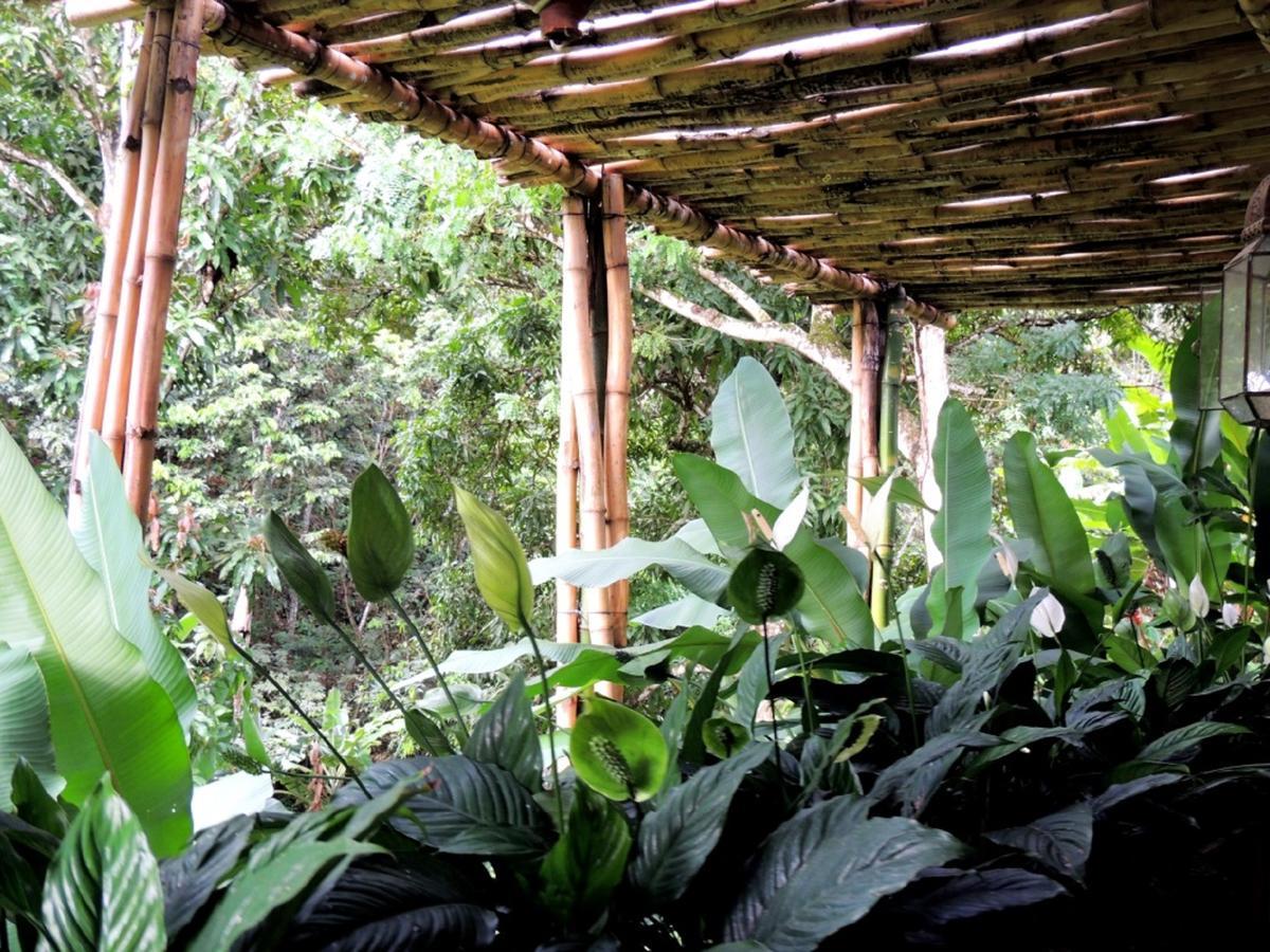 Sitio Alto Da Montanha - Voce Em Paz Com A Natureza Pacoti Exterior photo