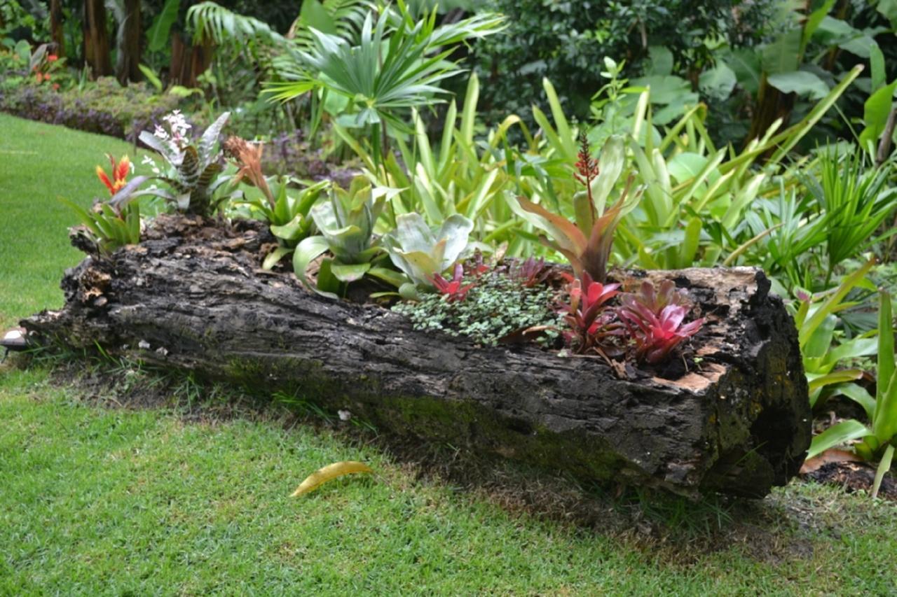 Sitio Alto Da Montanha - Voce Em Paz Com A Natureza Pacoti Exterior photo