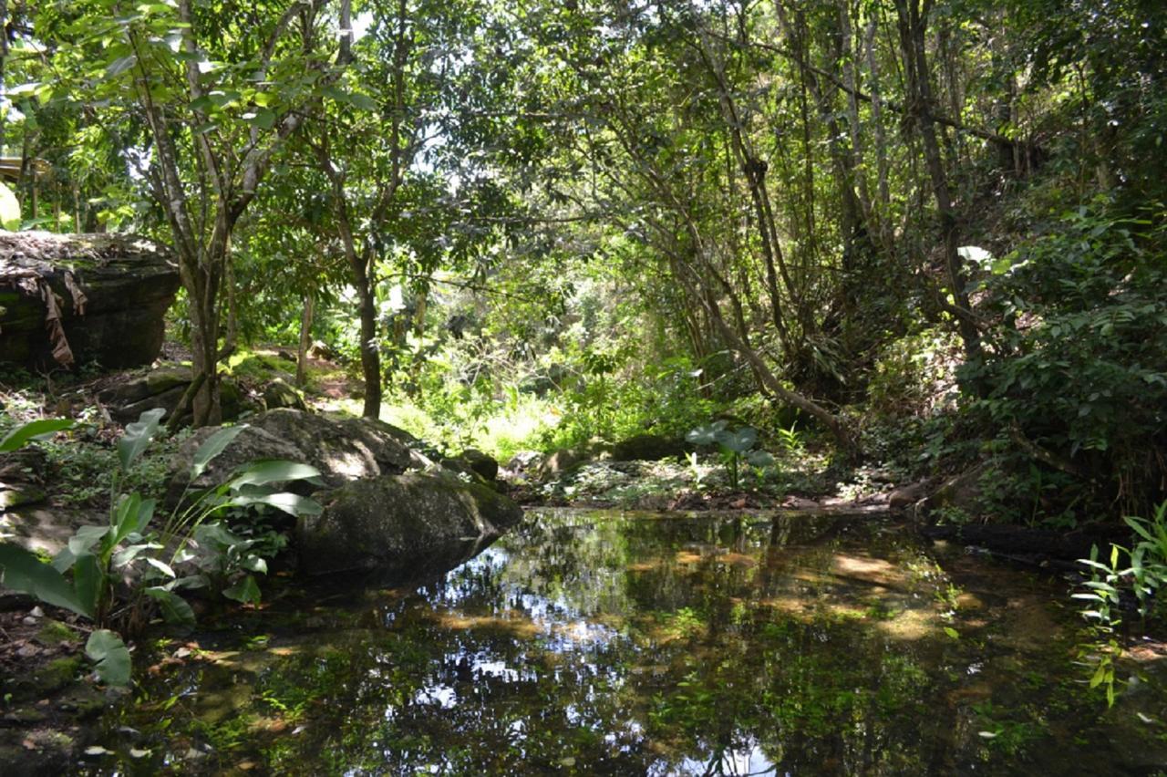 Sitio Alto Da Montanha - Voce Em Paz Com A Natureza Villa Pacoti Exterior photo