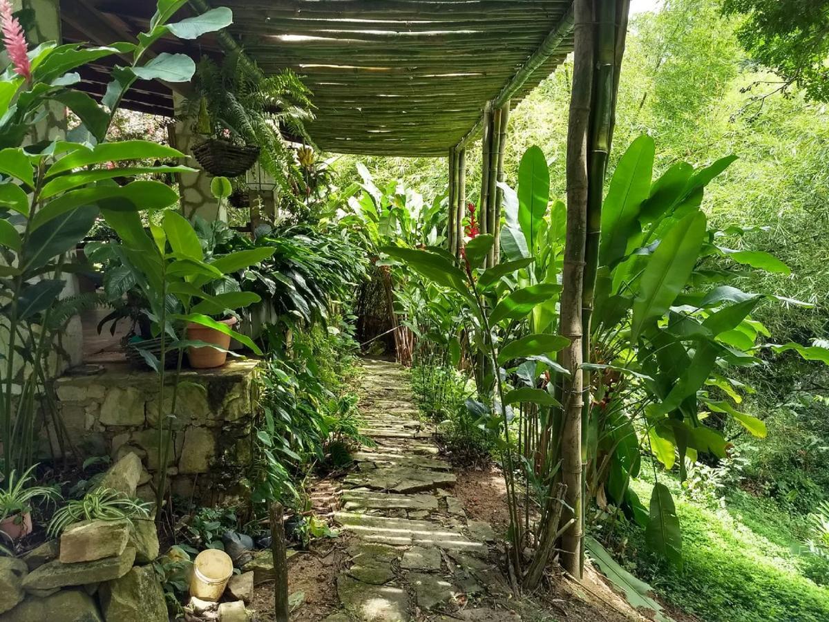 Sitio Alto Da Montanha - Voce Em Paz Com A Natureza Pacoti Exterior photo